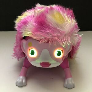 Zoomer Hedgiez Whirl Interactive Hedgehog Lights Sounds Sensors Pink Yellow Toy